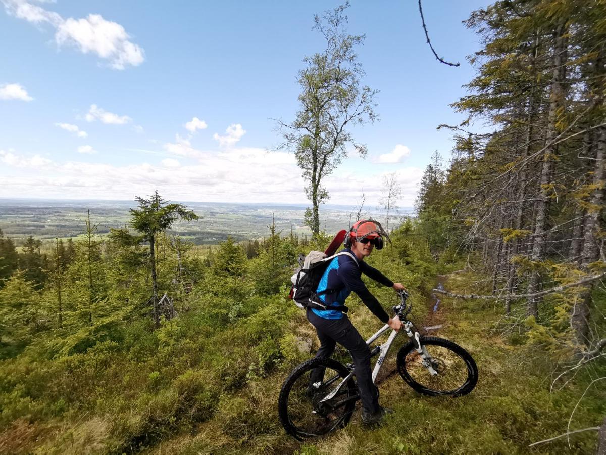 ホテル Idylliske Evjua Ved Mjosa Skreia エクステリア 写真